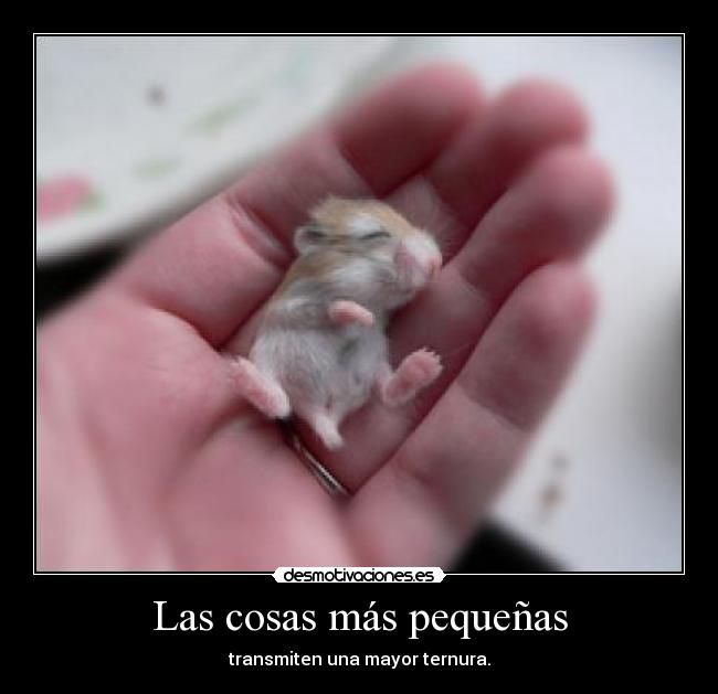Las cosas más pequeñas - transmiten una mayor ternura.