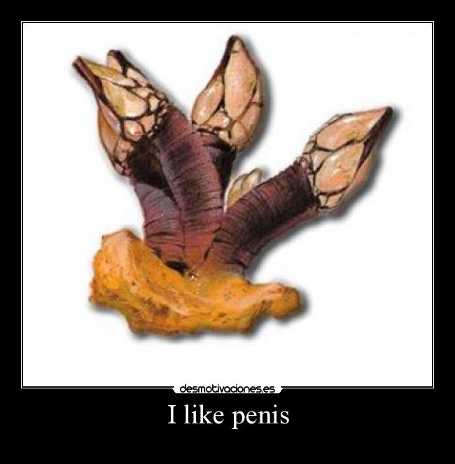 I like penis - 