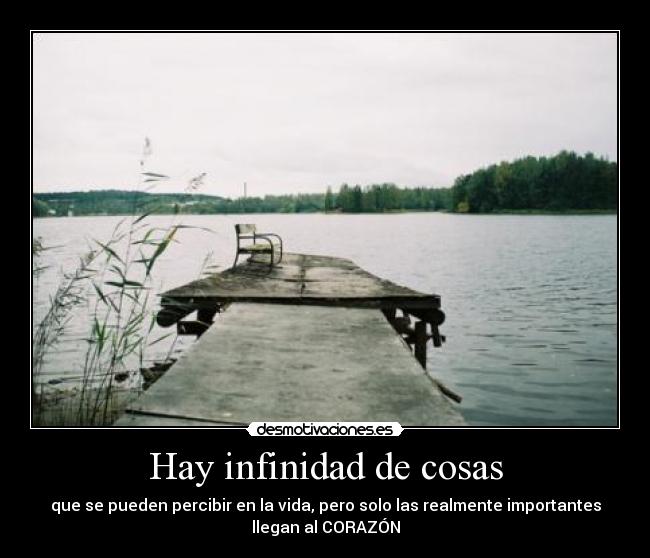 Hay infinidad de cosas - que se pueden percibir en la vida, pero solo las realmente importantes
llegan al CORAZÓN