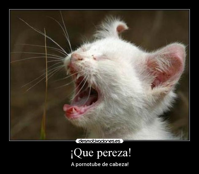 ¡Que pereza! - A pornotube de cabeza!