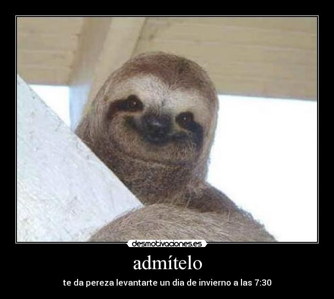 admítelo - te da pereza levantarte un dia de invierno a las 7:30