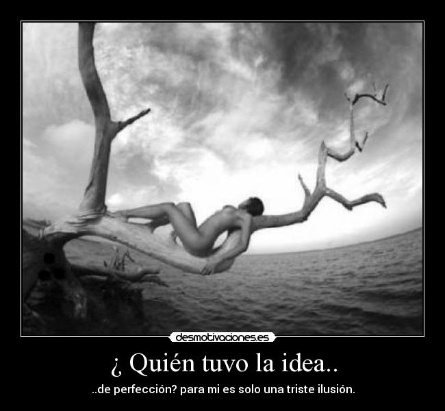 carteles perfeccion desmotivaciones