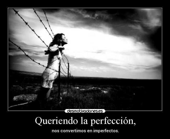 carteles perfeccion desmotivaciones