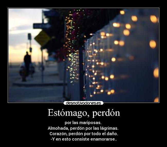 Estómago, perdón - por las mariposas. 
Almohada, perdón por las lágrimas. 
Corazón, perdón por todo el daño.
-Y en esto consiste enamorarse..