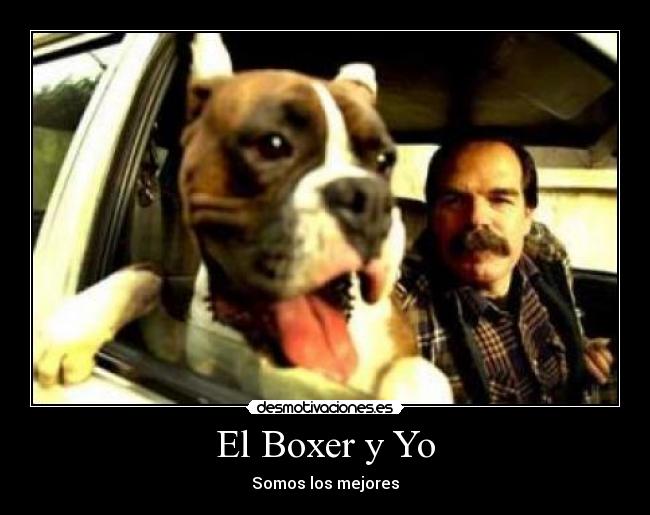 El Boxer y Yo - Somos los mejores