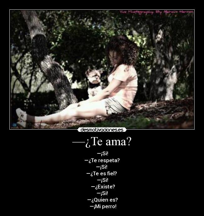 —¿Te ama? - —¡Si!
—¿Te respeta?
—¡Si!
—¿Te es fiel?
—¡Si!
—¿Existe?
—¡Si!
—¿Quien es?
—¡Mi perro!