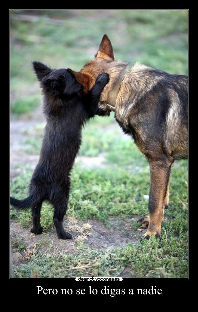 Pero no se lo digas a nadie - 