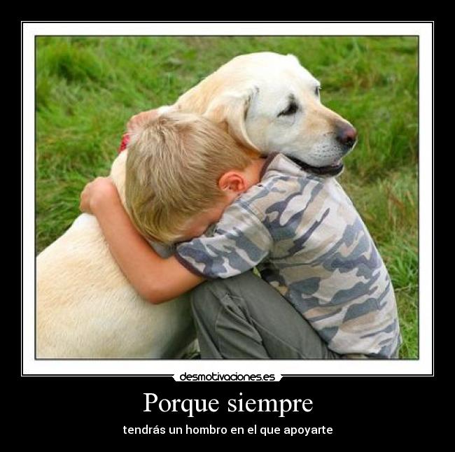 Porque siempre - tendrás un hombro en el que apoyarte