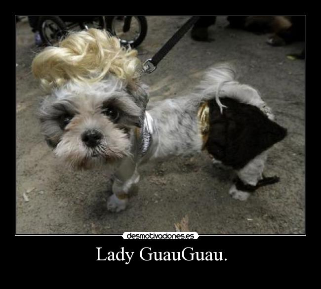 Lady GuauGuau. - 