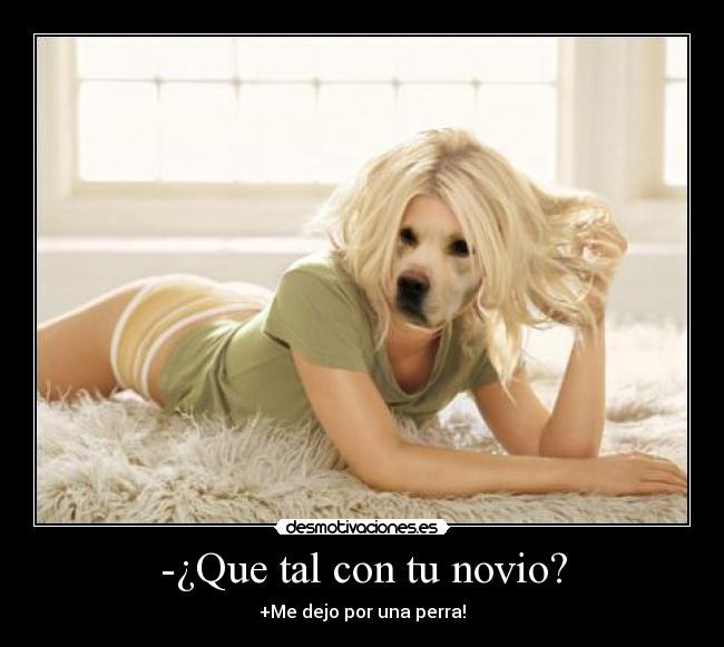 -¿Que tal con tu novio? - 
