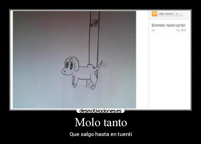 Molo tanto - Que salgo hasta en tuenti
