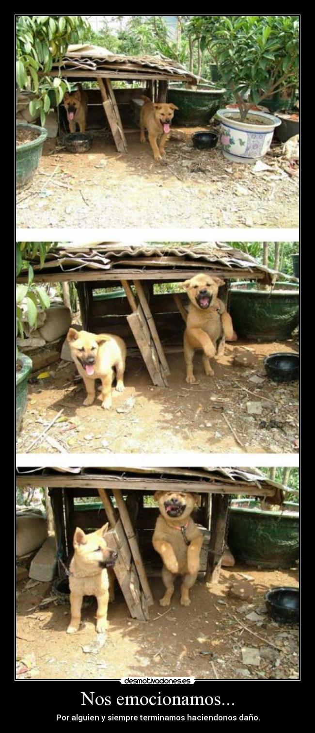Nos emocionamos... - Por alguien y siempre terminamos haciendonos daño.