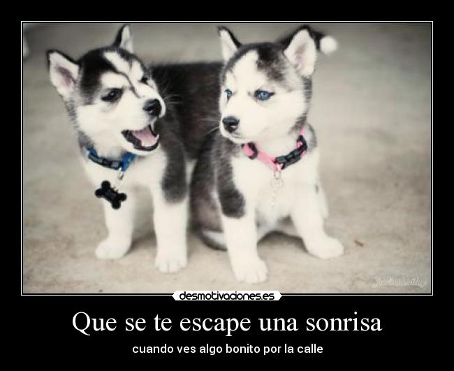 Que se te escape una sonrisa - cuando ves algo bonito por la calle