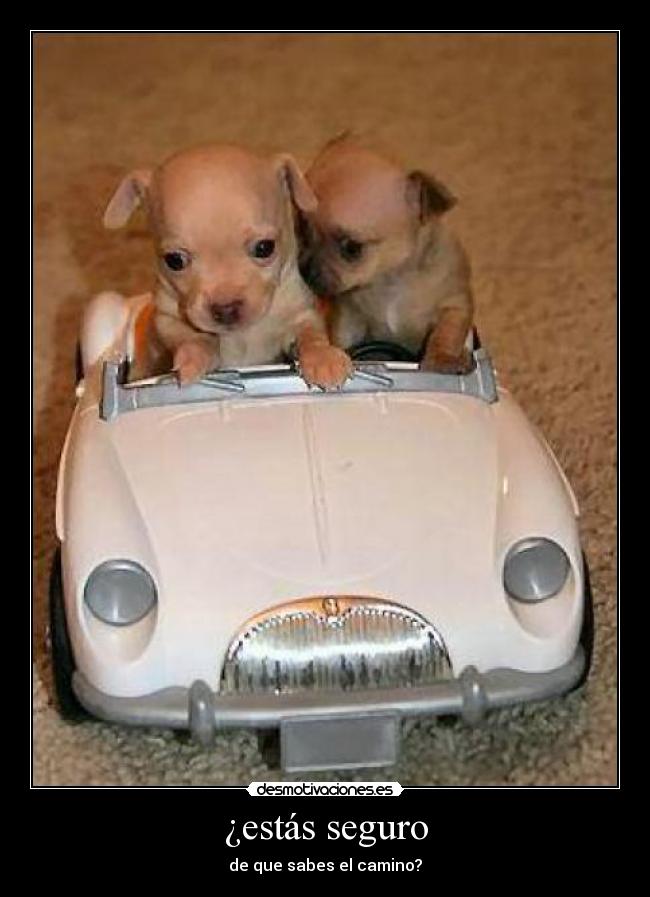 ¿estás seguro - de que sabes el camino?