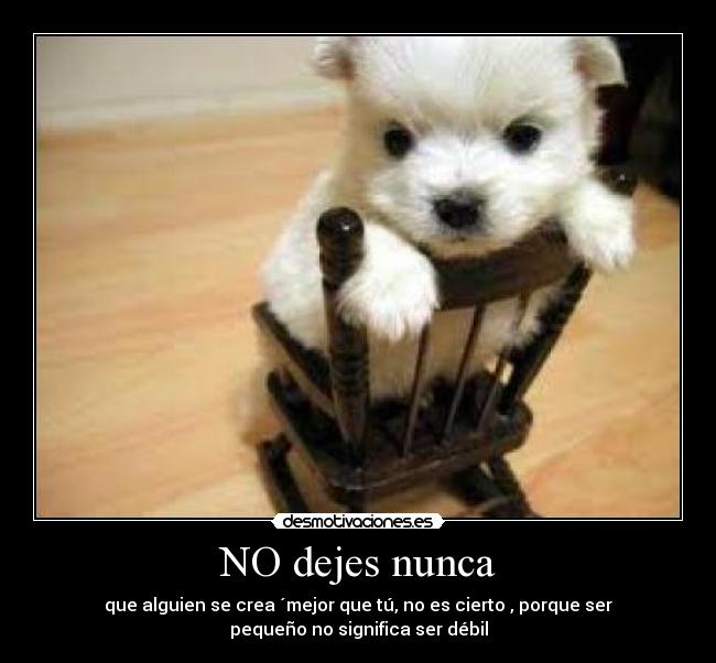 NO dejes nunca - que alguien se crea ´mejor que tú, no es cierto , porque ser
pequeño no significa ser débil