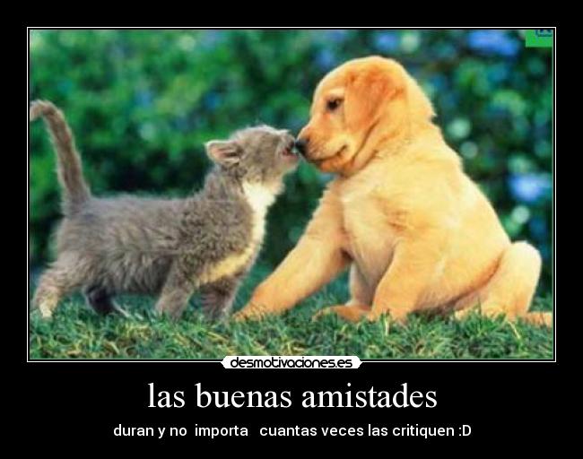 las buenas amistades -