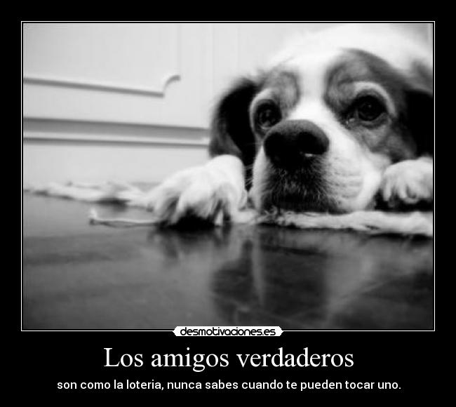 Los amigos verdaderos -