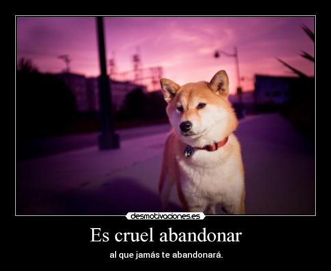 Es cruel abandonar - 