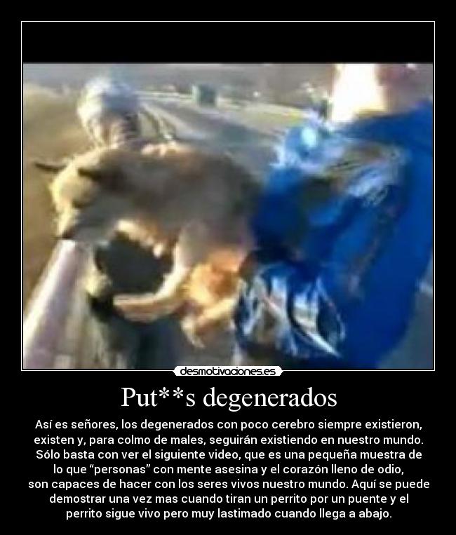 Put**s degenerados - Así es señores, los degenerados con poco cerebro siempre existieron,
existen y, para colmo de males, seguirán existiendo en nuestro mundo.
Sólo basta con ver el siguiente video, que es una pequeña muestra de
lo que “personas” con mente asesina y el corazón lleno de odio,
son capaces de hacer con los seres vivos nuestro mundo. Aquí se puede
demostrar una vez mas cuando tiran un perrito por un puente y el
perrito sigue vivo pero muy lastimado cuando llega a abajo.