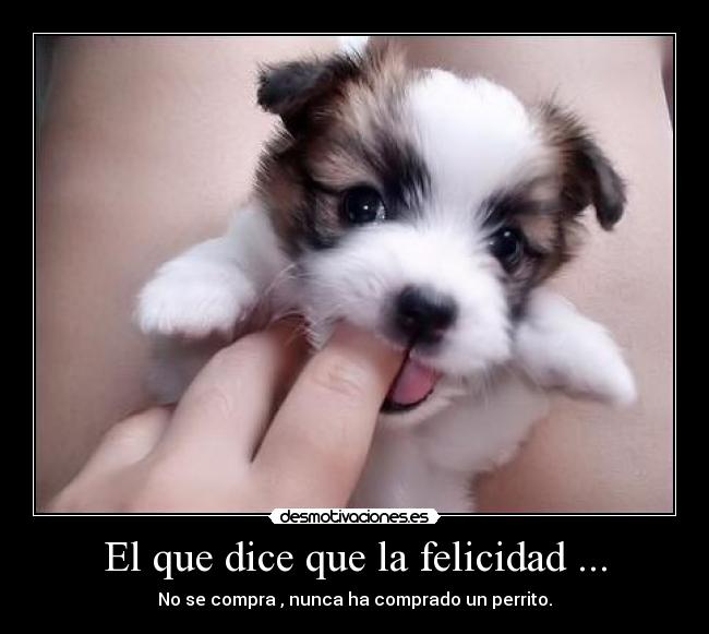 El que dice que la felicidad ... -