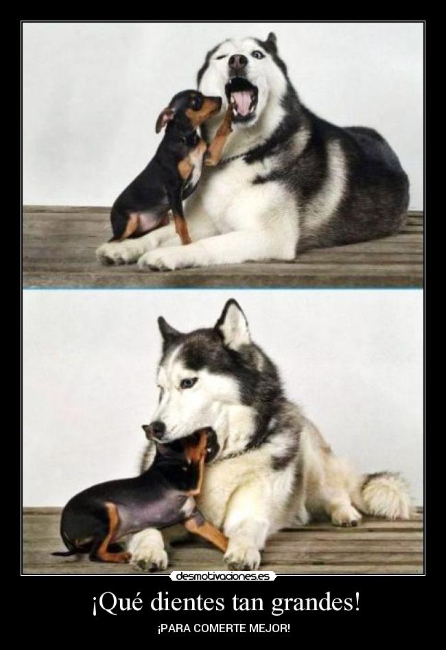 ¡Qué dientes tan grandes! -