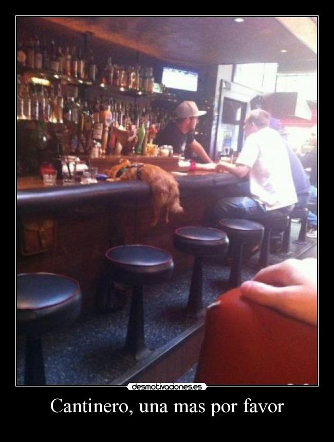 Cantinero, una mas por favor - 