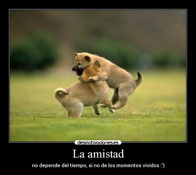 La amistad - no depende del tiempo, si no de los momentos vividos :)