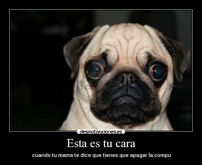 Esta es tu cara - cuando tu mama te dice que tienes que apagar la compu
