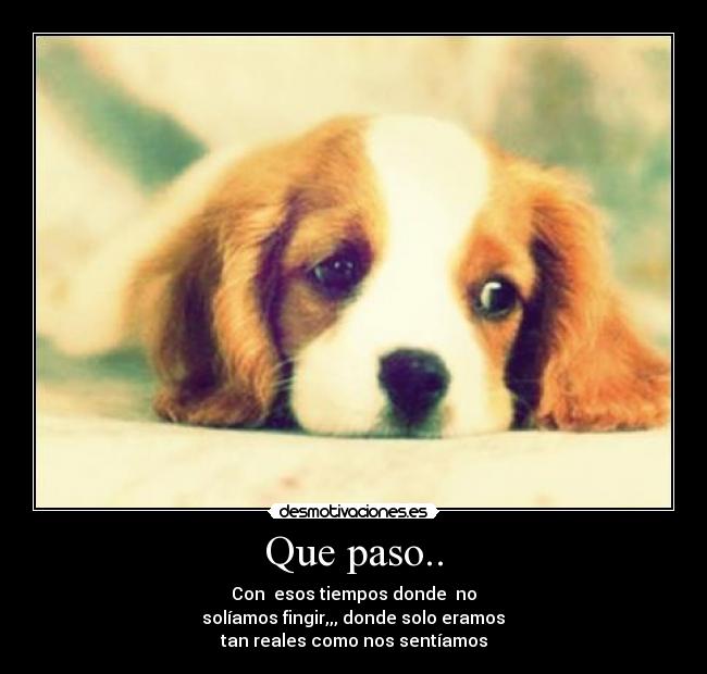 Que paso.. -