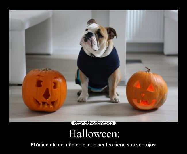 Halloween: - El único día del año,en el que ser feo tiene sus ventajas.