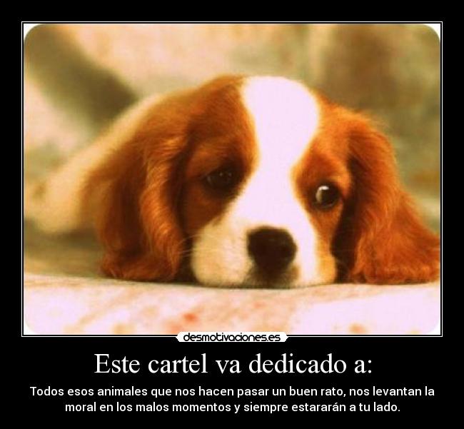 Este cartel va dedicado a: -