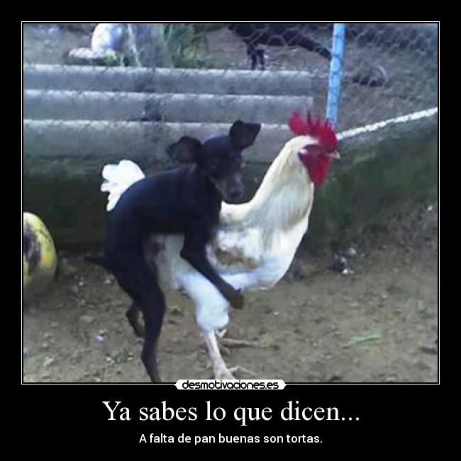 Ya sabes lo que dicen... - 