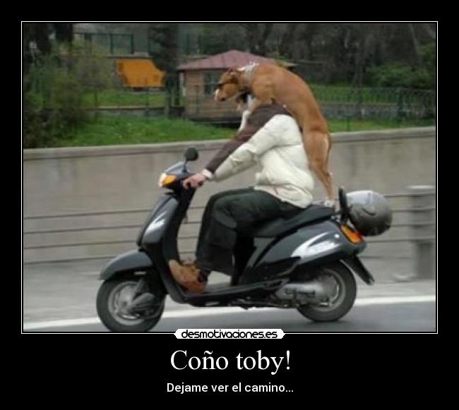 carteles toby dos ruedas desmotivaciones