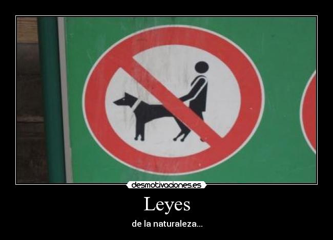 Leyes - de la naturaleza...