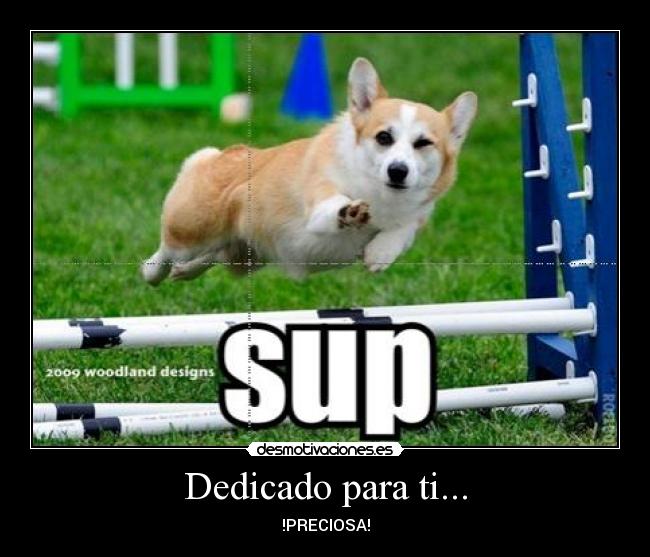 Dedicado para ti... - !PRECIOSA!