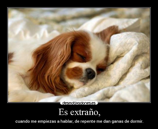 Es extraño, - cuando me empiezas a hablar, de repente me dan ganas de dormir.