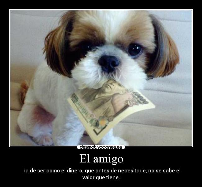 El amigo -