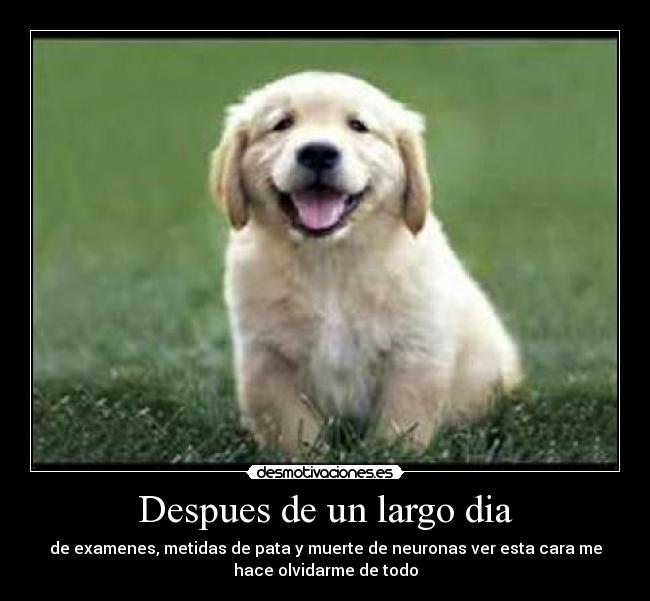 Despues de un largo dia - 