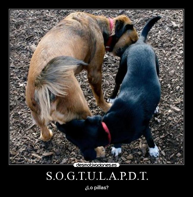 S.O.G.T.U.L.A.P.D.T. -