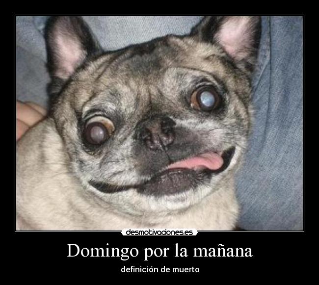 Domingo por la mañana - definición de muerto