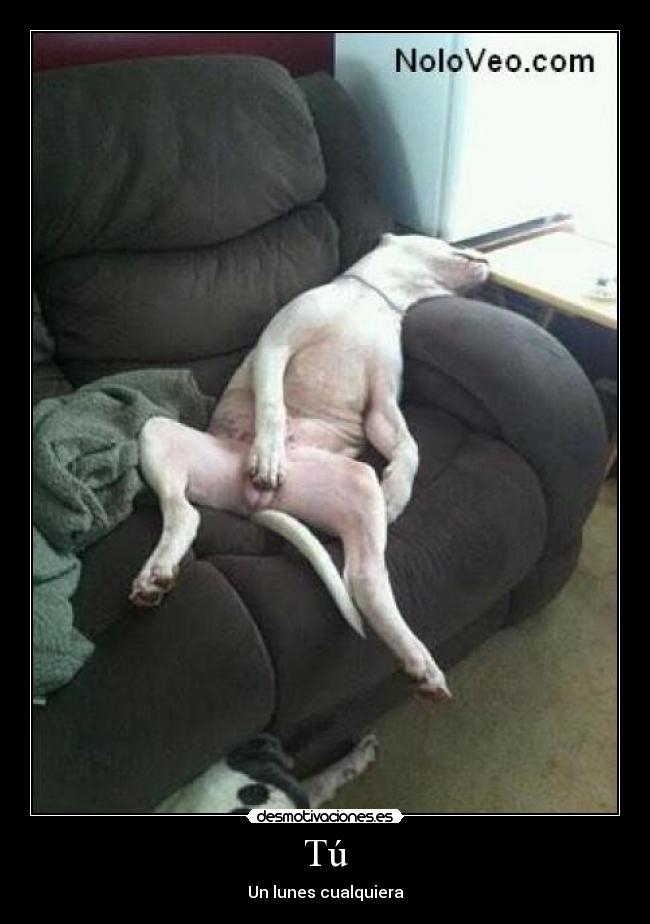 Tú - Un lunes cualquiera