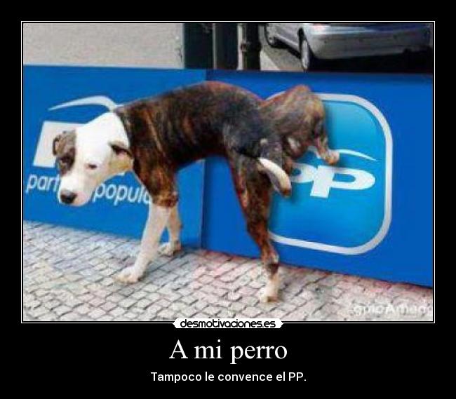 A mi perro - 