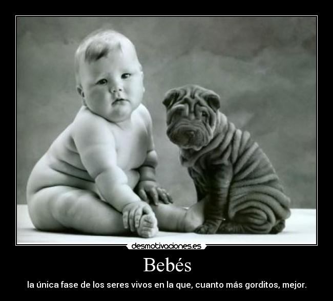 Bebés carteles bebés y cachorros desmotivaciones