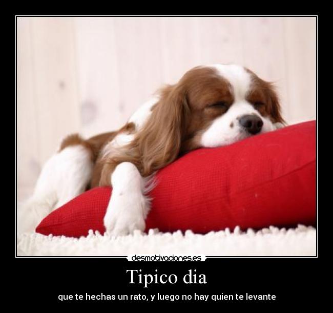 Tipico dia - que te hechas un rato, y luego no hay quien te levante