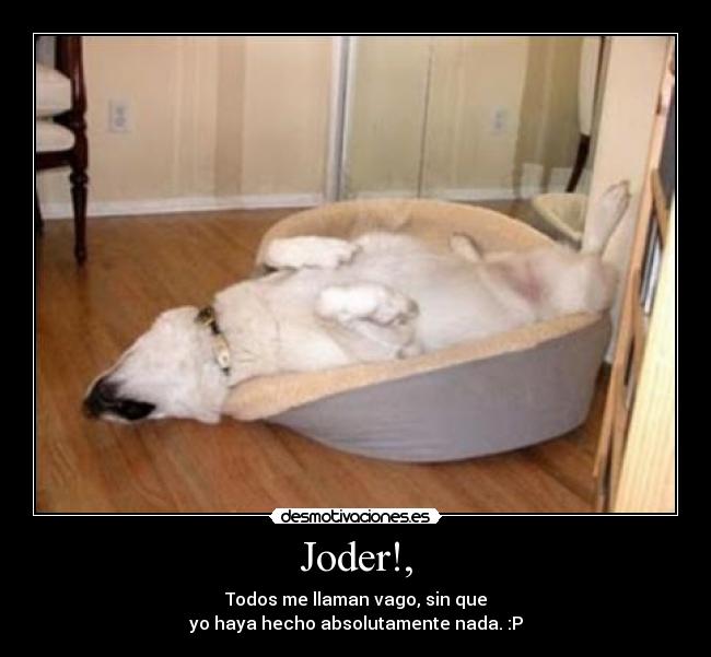 carteles dicen vago desmotivaciones