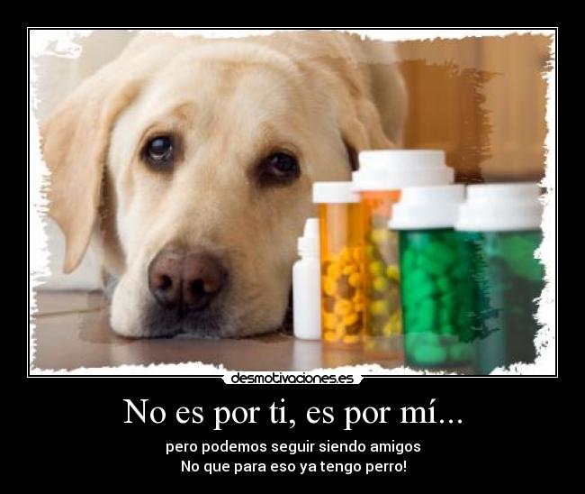 No es por ti, es por mí... - pero podemos seguir siendo amigos
No que para eso ya tengo perro!