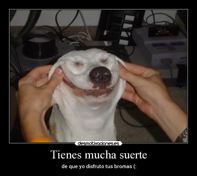 Tienes mucha suerte - de que yo disfruto tus bromas (: