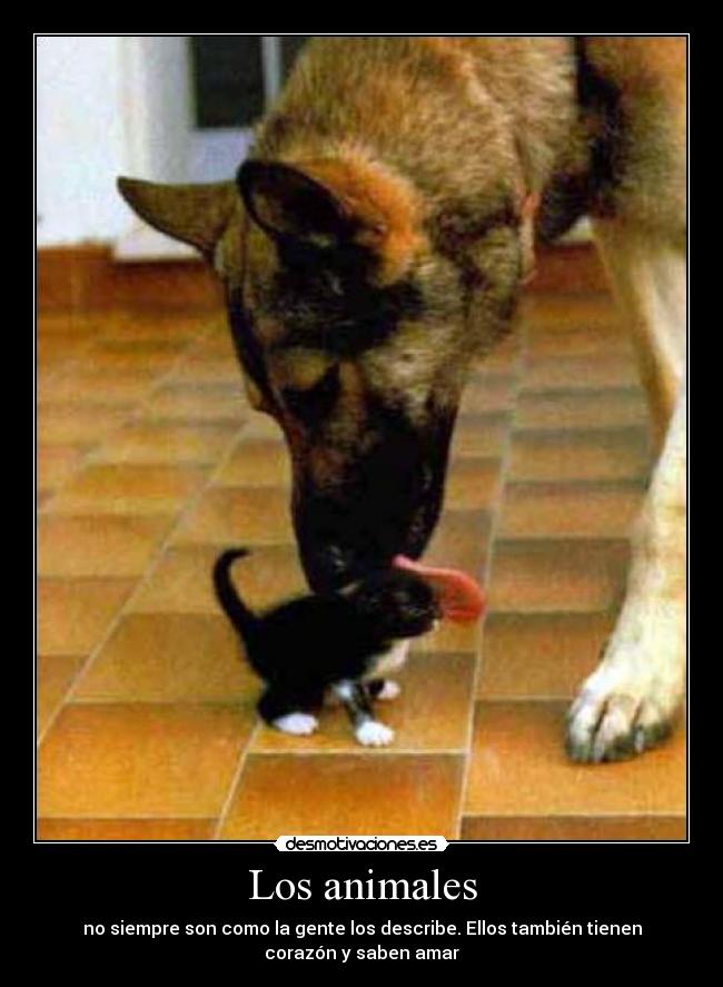 Los animales -