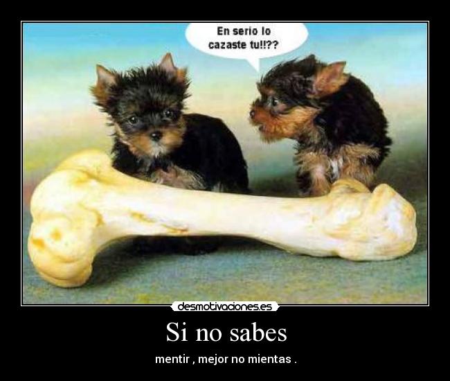 Si no sabes - 