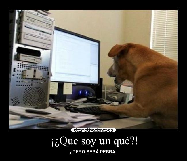 ¡¿Que soy un qué?! - 